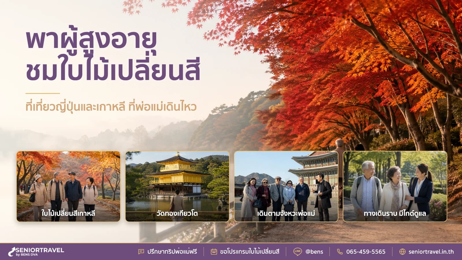 พาผู้สูงอายุชมใบไม้เปลี่ยนสี แนะนำที่เที่ยวญี่ปุ่นและเกาหลี